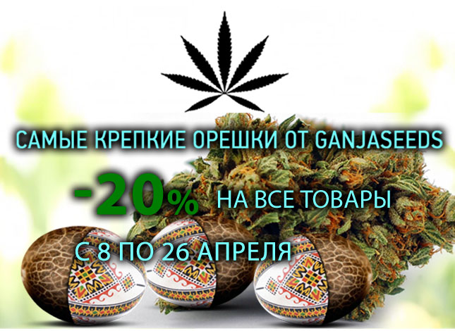 GanjaSeeds: Апрель – время выгодных покупок