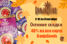 Октябрьская жара от GanjaSeeds: скидка 40 % на все сорта!