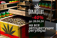 Скидки недели! - 40% на автоцветущие регуляры!